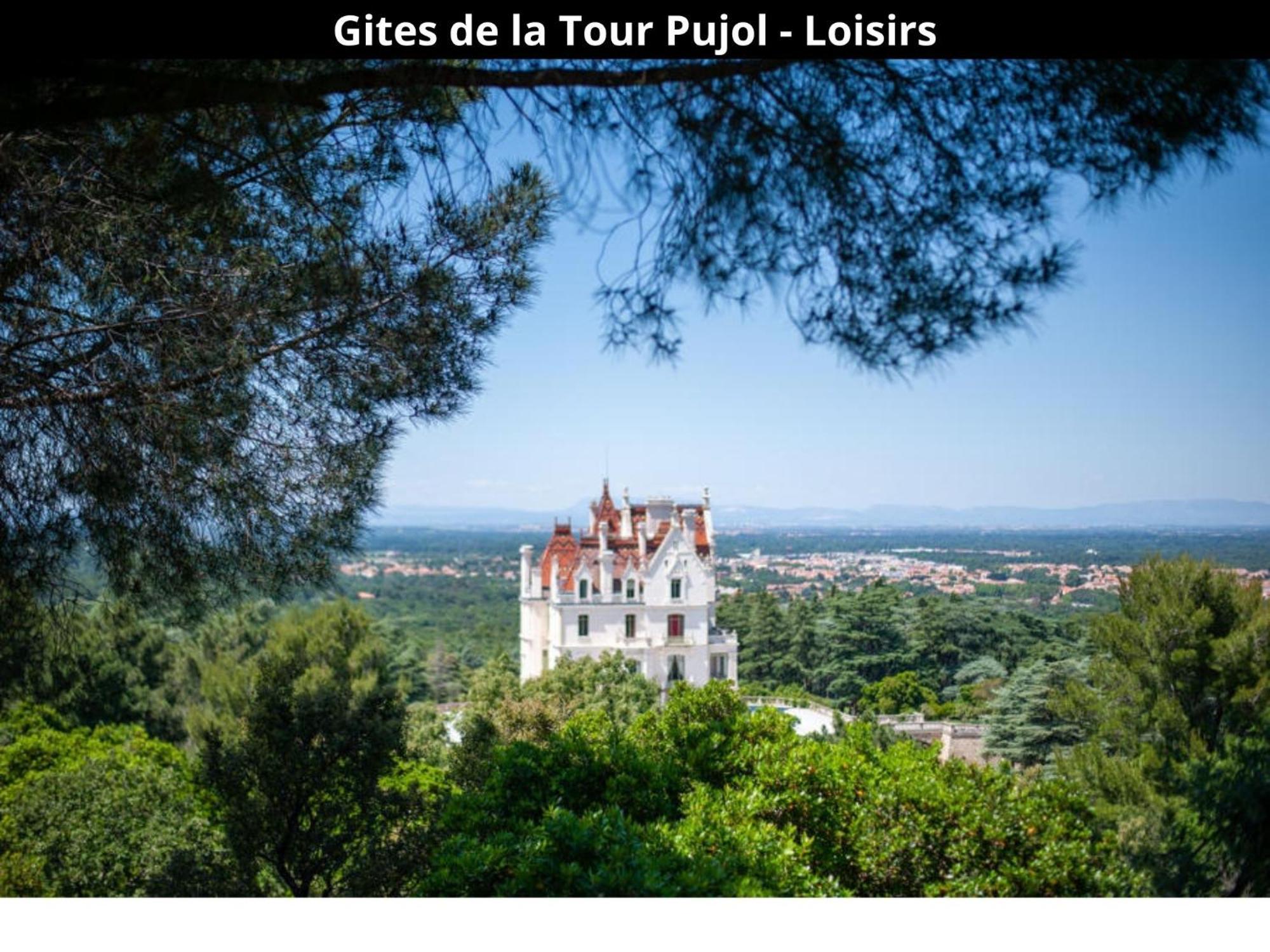 Les Gites De La Tour Pujol Аржеле-сюр-Мер Екстериор снимка